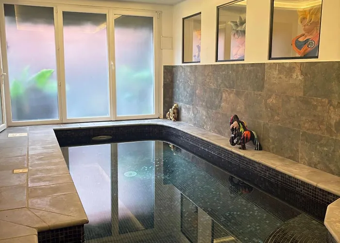 T4 Front De Mer Piscine Interieure Privee Clim